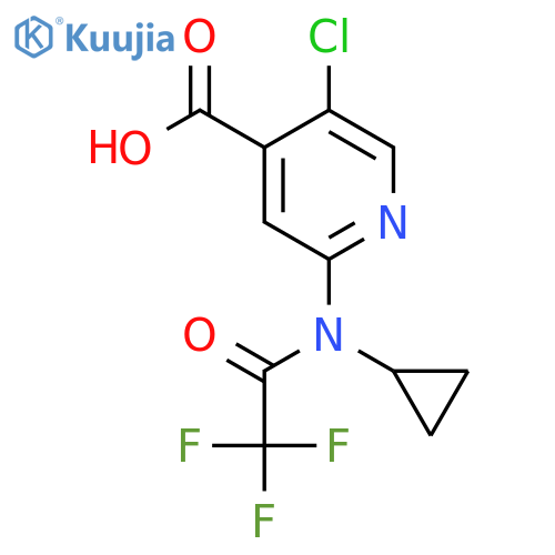 5-chloro-2-(N-cyclopropyl-2,2,2-trifluoroacetamido)pyridine-4-carboxylic acid structure