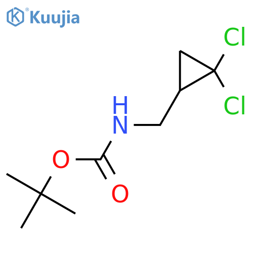 tert-butyl N-[(2,2-dichlorocyclopropyl)methyl]carbamate structure