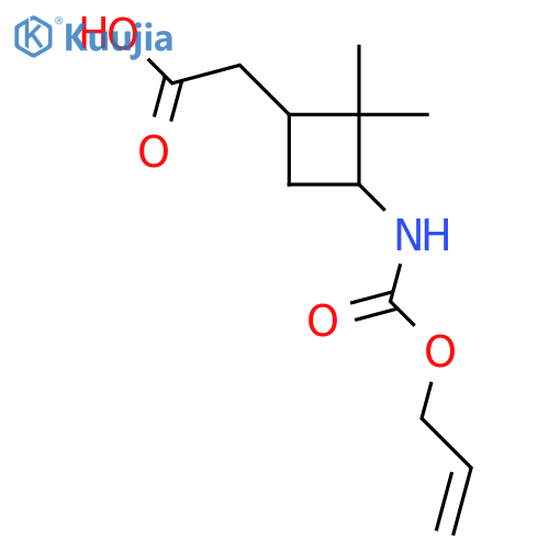2-(2,2-Dimethyl-3-{[(prop-2-en-1-yloxy)carbonyl]amino}cyclobutyl)acetic acid structure