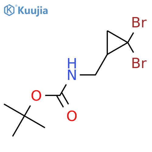 tert-butyl N-(2,2-dibromocyclopropyl)methylcarbamate structure