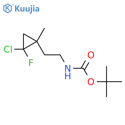 tert-butyl N-[2-(2-chloro-2-fluoro-1-methylcyclopropyl)ethyl]carbamate structure