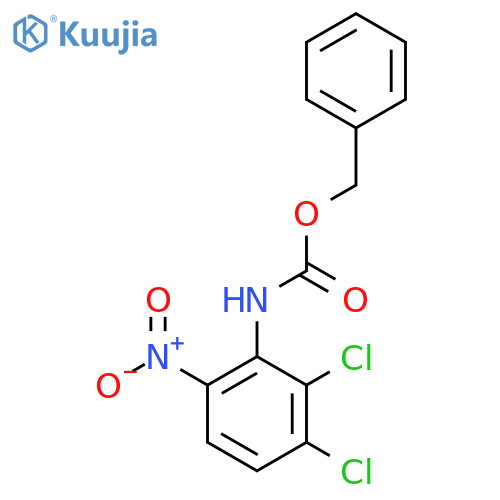 benzyl N-(2,3-dichloro-6-nitrophenyl)carbamate structure