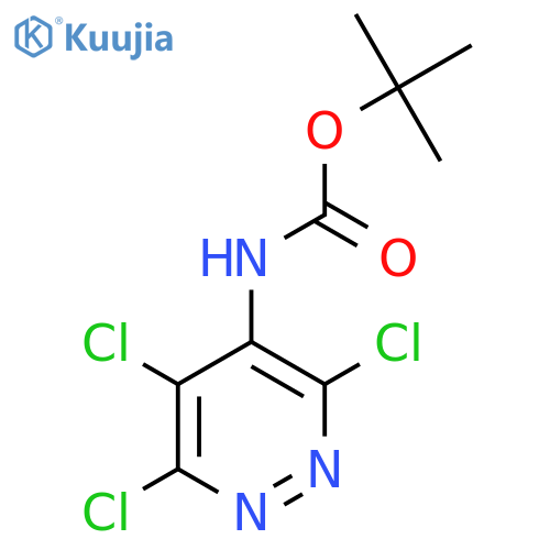 tert-butyl N-(3,5,6-trichloropyridazin-4-yl)carbamate structure
