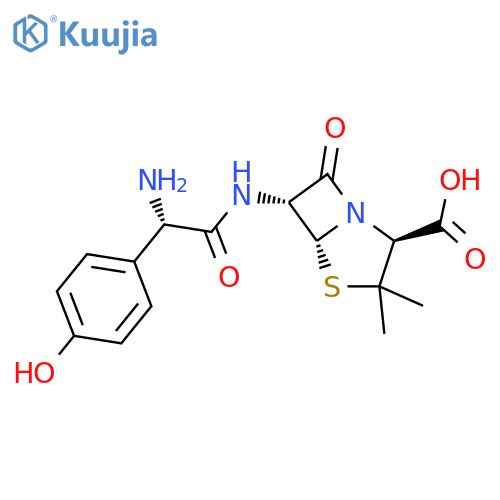 L-Amoxicillin structure