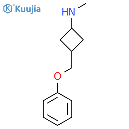 N-methyl-3-(phenoxymethyl)cyclobutan-1-amine structure