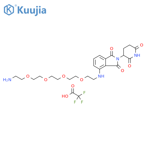 1H-Isoindole-1,3(2H)-dione, 4-[(14-amino-3,6,9,12-tetraoxatetradec-1-yl)amino]-2-(2,6-dioxo-3-piperidinyl)-, 2,2,2-trifluoroacetate (1:1) structure