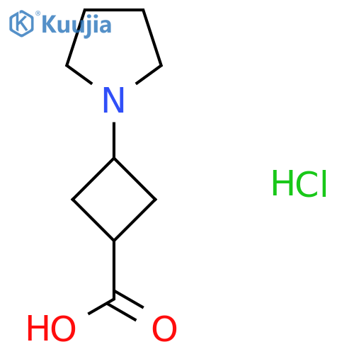 3-(Pyrrolidin-1-yl)cyclobutanecarboxylic acid hydrochloride structure