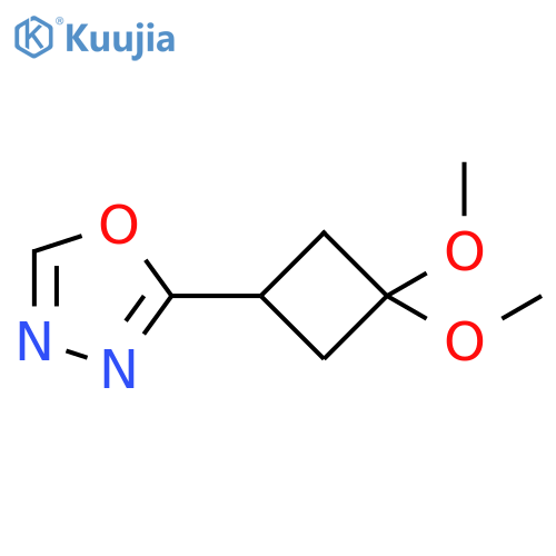 2-(3,3-dimethoxycyclobutyl)-1,3,4-oxadiazole structure