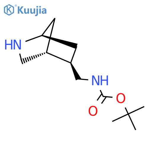 rac-tert-butyl N-{(1R,4S,5S)-2-azabicyclo2.2.1heptan-5-ylmethyl}carbamate structure
