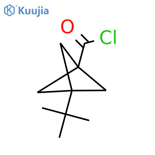 3-Tert-butylbicyclo[1.1.1]pentane-1-carbonyl chloride structure