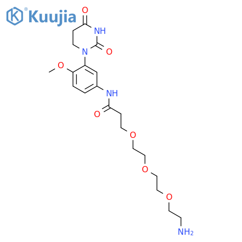 3-{2-[2-(2-aminoethoxy)ethoxy]ethoxy}-N-[3-(2,4-dioxo-1,3-diazinan-1-yl)-4-methoxyphenyl]propanamide structure