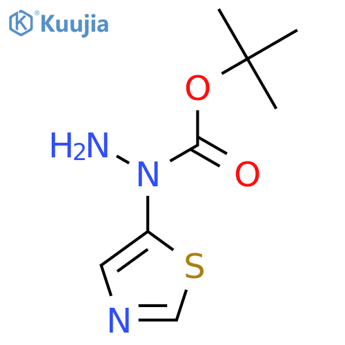 N-(1,3-thiazol-5-yl)(tert-butoxy)carbohydrazide structure