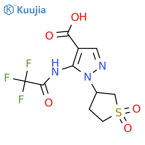 1-(1,1-dioxo-1lambda6-thiolan-3-yl)-5-(2,2,2-trifluoroacetamido)-1H-pyrazole-4-carboxylic acid structure