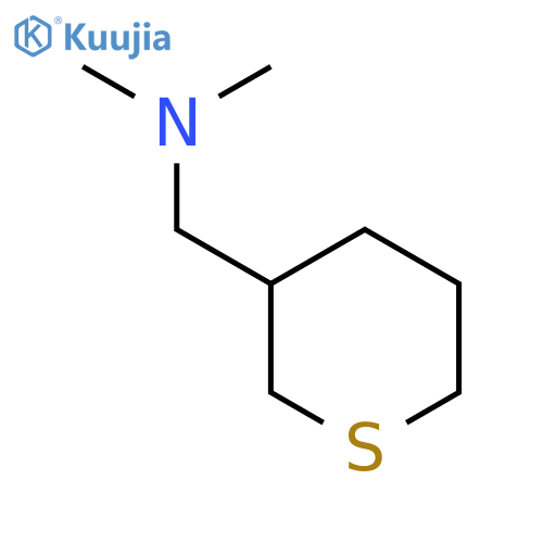 Dimethyl[(thian-3-yl)methyl]amine structure
