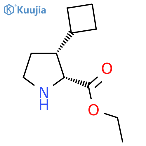 rac-ethyl (2R,3R)-3-cyclobutylpyrrolidine-2-carboxylate structure