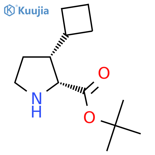 rac-tert-butyl (2R,3R)-3-cyclobutylpyrrolidine-2-carboxylate structure