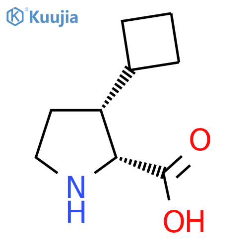 rac-(2R,3R)-3-cyclobutylpyrrolidine-2-carboxylic acid structure