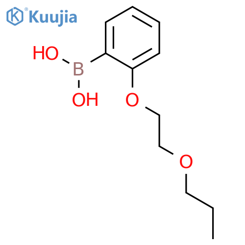 2-(2-Propoxyethoxy)phenylboronic acid structure