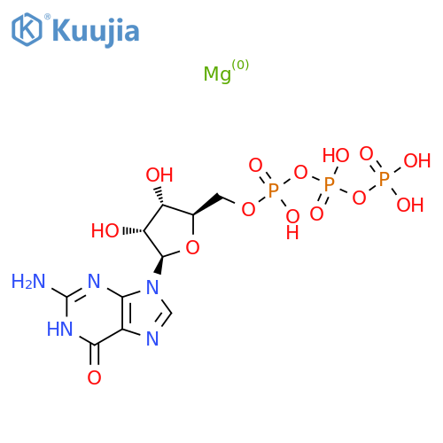magnesium GTP structure