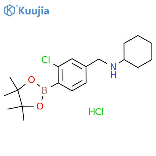 N-(3-Chloro-4-(4,4,5,5-tetramethyl-1,3,2-dioxaborolan-2-yl)benzyl)cyclohexanamine hydrochloride structure