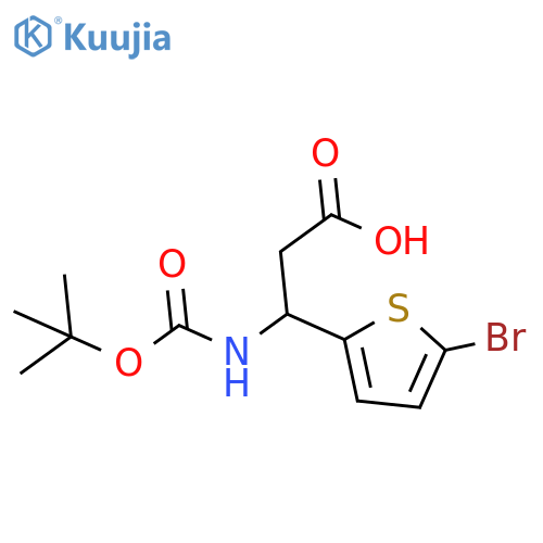 3-(5-bromothiophen-2-yl)-3-{(tert-butoxy)carbonylamino}propanoic acid structure