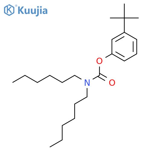 Carbamic acid,dihexyl-, 3-(1,1-dimethylethyl)phenyl ester (9CI) structure