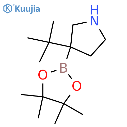 3-tert-butyl-3-(4,4,5,5-tetramethyl-1,3,2-dioxaborolan-2-yl)pyrrolidine structure