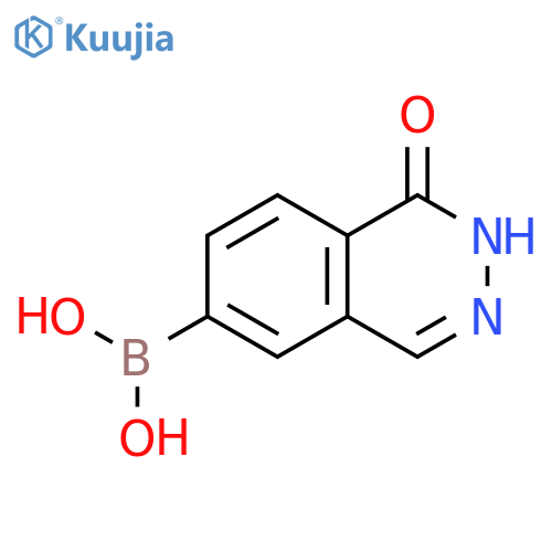 (1-oxo-1,2-dihydrophthalazin-6-yl)boronic acid structure