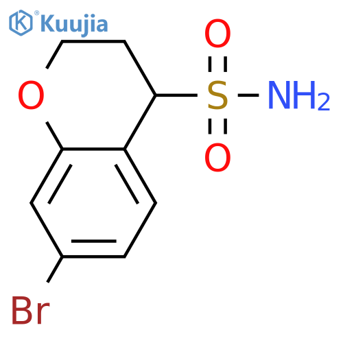 2H-1-Benzopyran-4-sulfonamide, 7-bromo-3,4-dihydro- structure