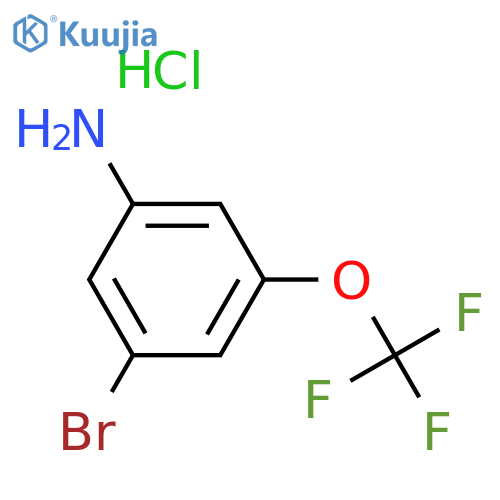 Benzenamine, 3-bromo-5-(trifluoromethoxy)-, hydrochloride (1:1) structure