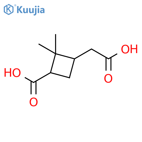 Pinic Acid (Diastereomeric Mixture) structure