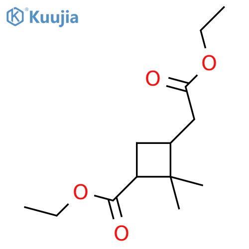 Cyclobutaneacetic acid,3-(ethoxycarbonyl)-2,2-dimethyl-, ethyl ester structure