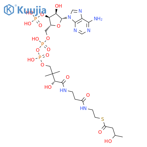 Coenzyme A, S-(3-hydroxybutanoate) structure