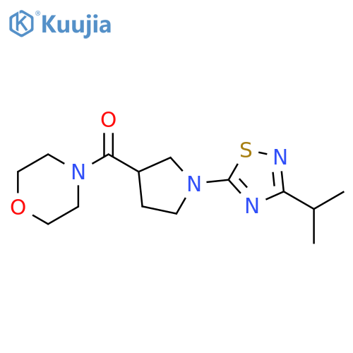 4-{1-[3-(propan-2-yl)-1,2,4-thiadiazol-5-yl]pyrrolidine-3-carbonyl}morpholine structure