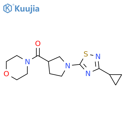 4-[1-(3-cyclopropyl-1,2,4-thiadiazol-5-yl)pyrrolidine-3-carbonyl]morpholine structure