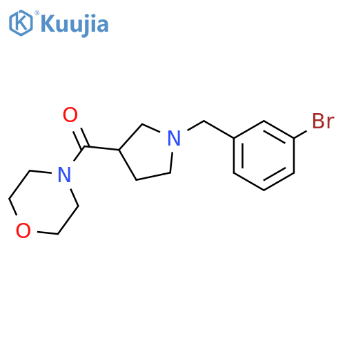 4-{1-[(3-bromophenyl)methyl]pyrrolidine-3-carbonyl}morpholine structure