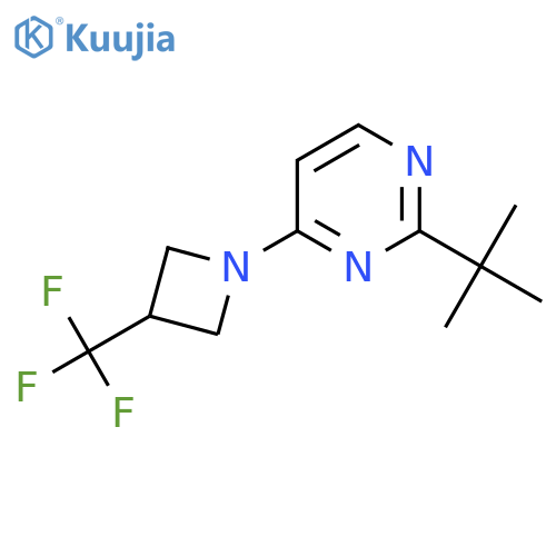 2-Tert-butyl-4-[3-(trifluoromethyl)azetidin-1-yl]pyrimidine structure