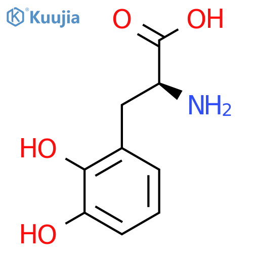 (S)-2-Amino-3-(2,3-dihydroxyphenyl)propanoic acid structure