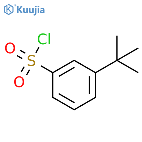 3-tert-butylbenzene-1-sulfonyl chloride structure