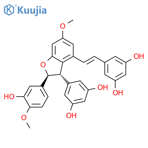 Shegansu B structure