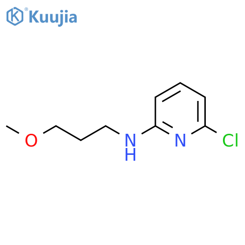 6-Chloro-N-(3-methoxypropyl)-2-pyridinamine structure