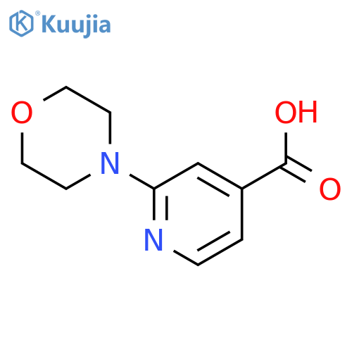 2-Morpholinoisonicotinic acid structure