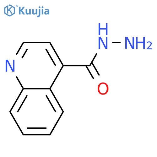 Quinoline-4-carbohydrazide structure