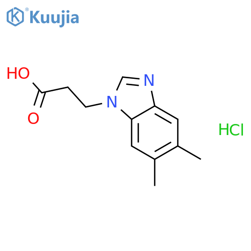 3-(5,6-dimethyl-1H-1,3-benzodiazol-1-yl)propanoic acid hydrochloride structure