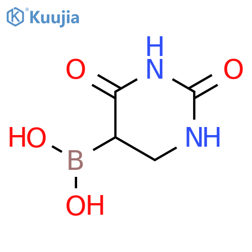 (2,4-Dioxohexahydropyrimidin-5-yl)boronic acid structure