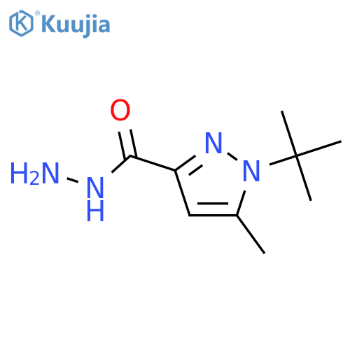 1-(tert-Butyl)-5-methyl-1H-pyrazole-3-carbohydrazide structure