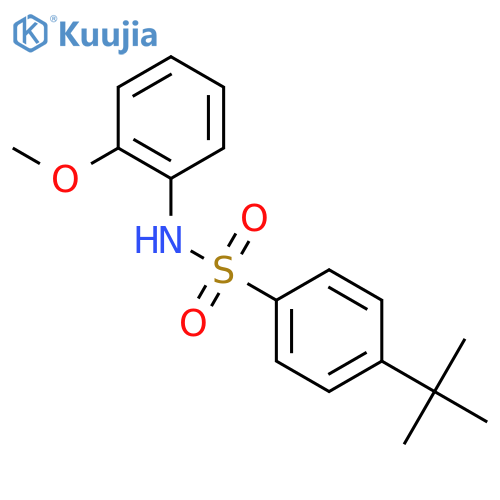 4-tert-butyl-N-(2-methoxyphenyl)benzene-1-sulfonamide structure