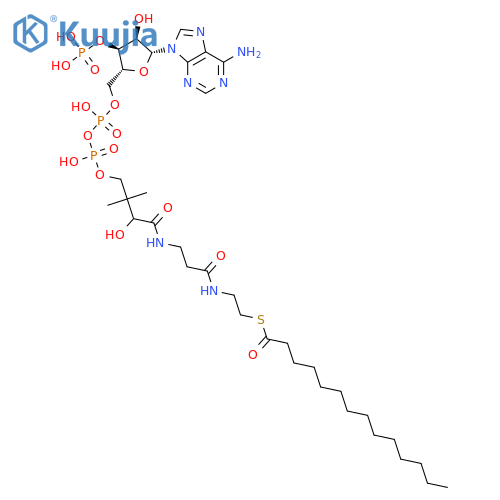 Myristoyl coenzyme A structure
