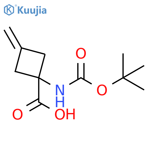 1-{(tert-butoxy)carbonylamino}-3-methylidenecyclobutane-1-carboxylic acid structure