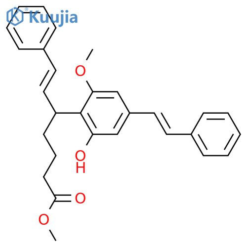 Idenburgene structure